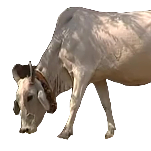Favicon Vache