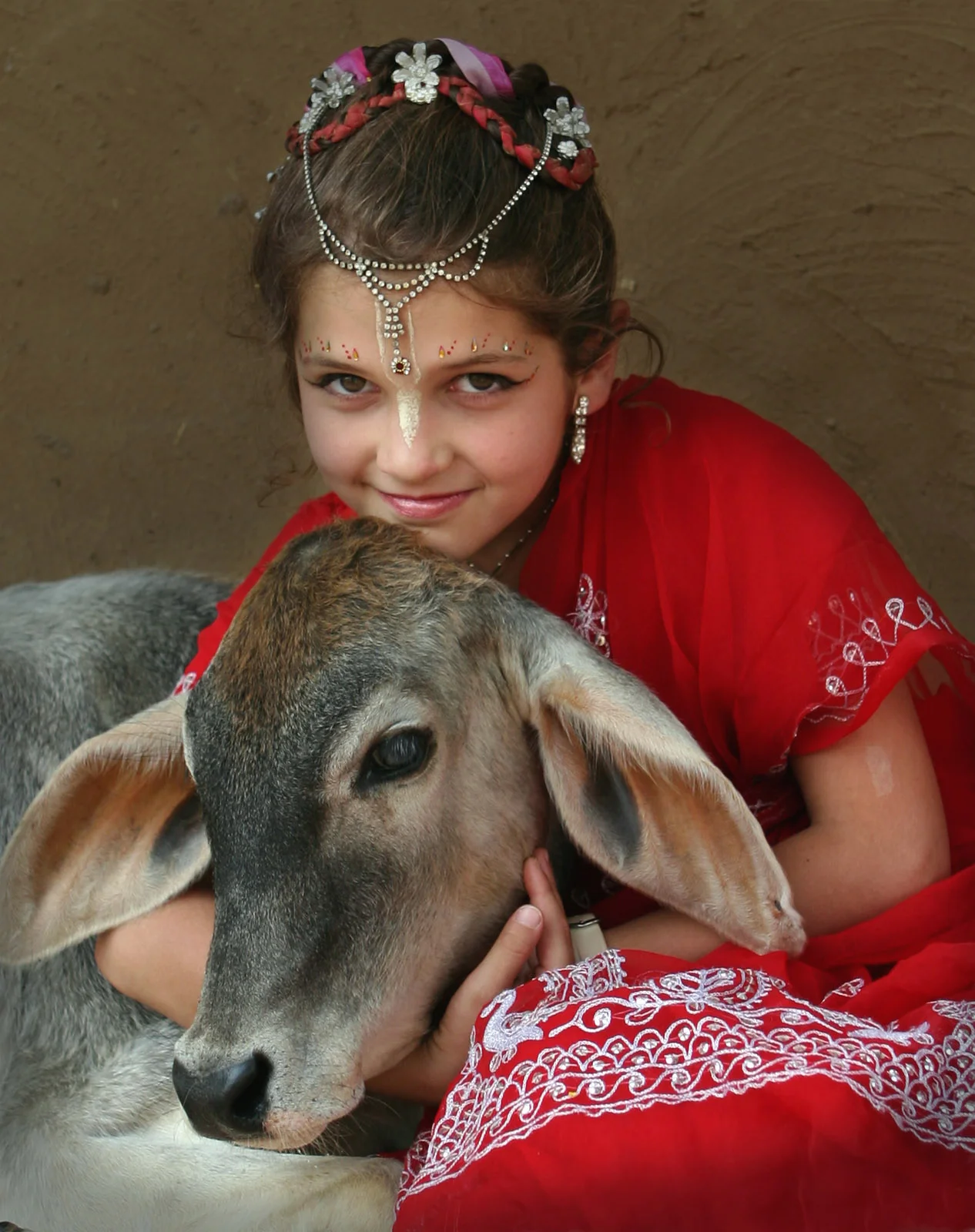Protection des vaches