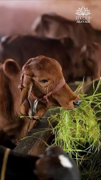 Agriculture